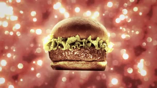 Hamburger Fire — Stock Video