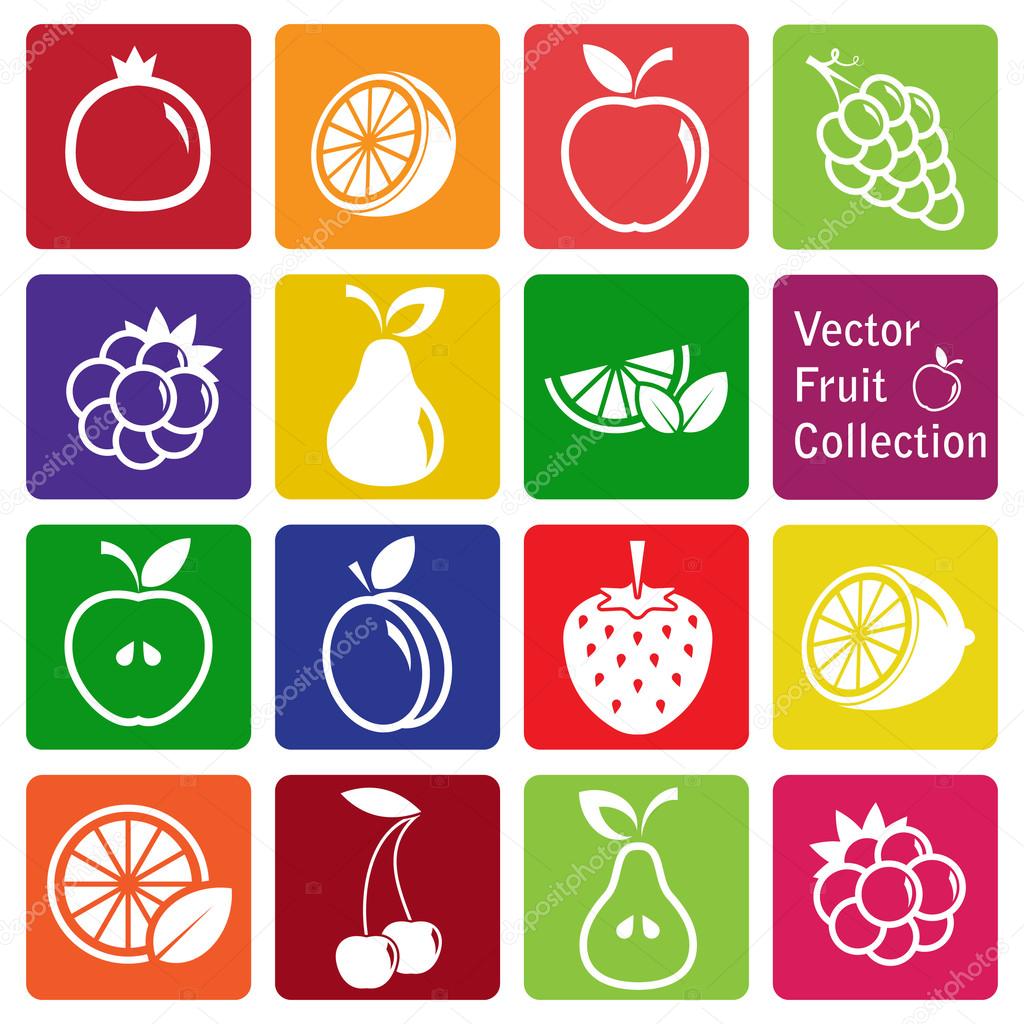 Vector collection: fruit icons