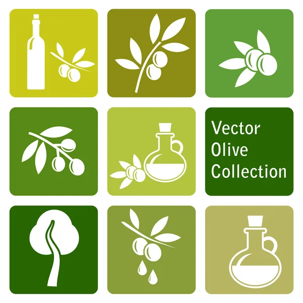 Collezione vettoriale: icone d'oliva — Vettoriale Stock