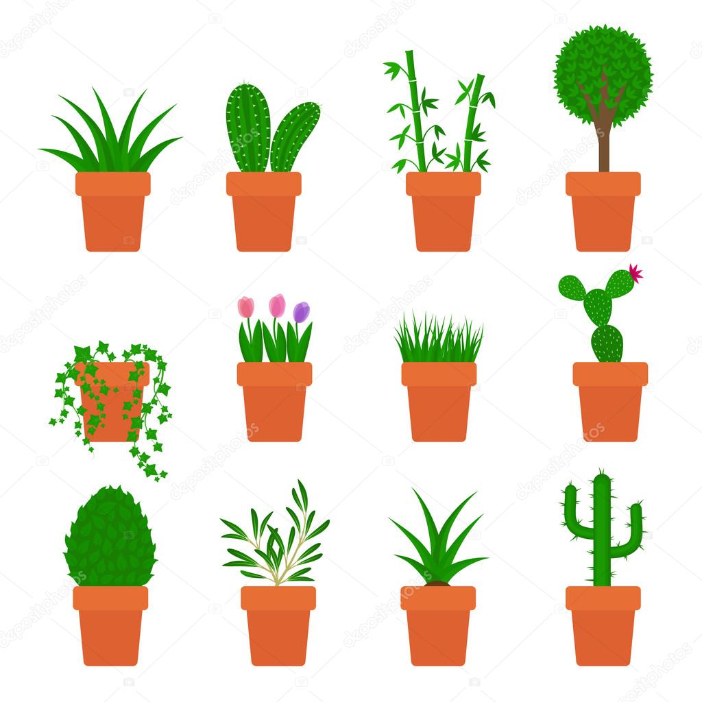 Vector set of plants in pots
