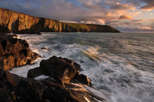 Old Head — Stock Photo, Image