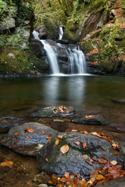 Mullinhassig şelale
