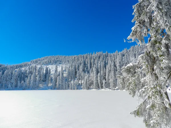 Paesaggio invernale — Foto Stock