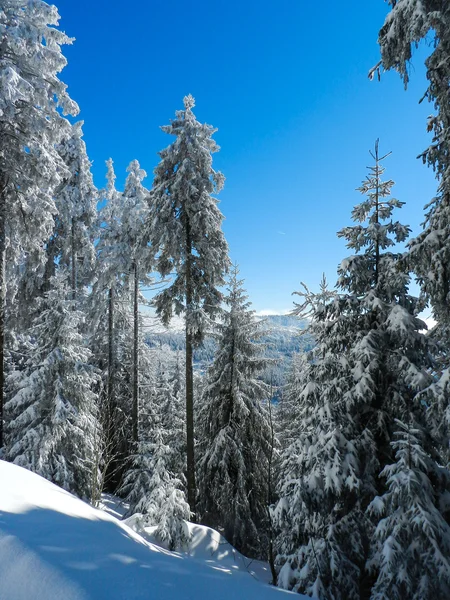 Mooie winterdag in de Alpen — Stockfoto