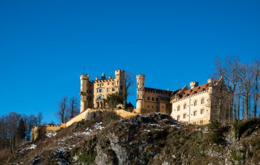 Neuschwanstein Castle King Ludwig II and his castle clipart