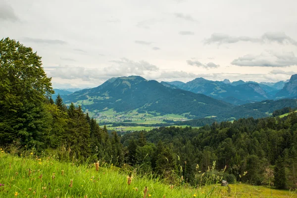 Landscape — Stock Photo, Image