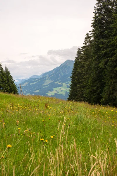 Paesaggio — Foto Stock