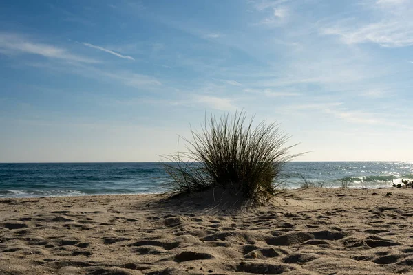 Les Belles Plages Côtes Portugal — Photo