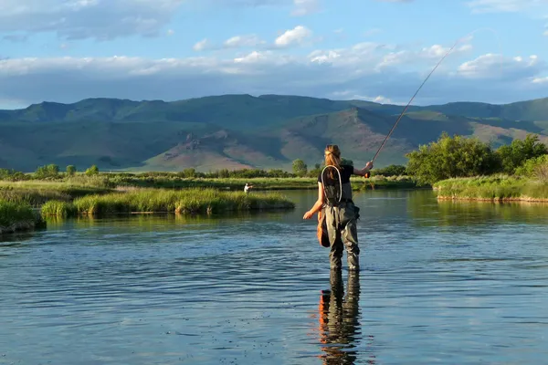 Pesca con mosca de trucha en un arroyo de primavera en Idaho Imagen de stock