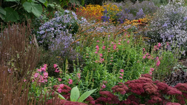 Full frame image of colourful flowerbed with autumn or fall flowers — Stock Photo, Image