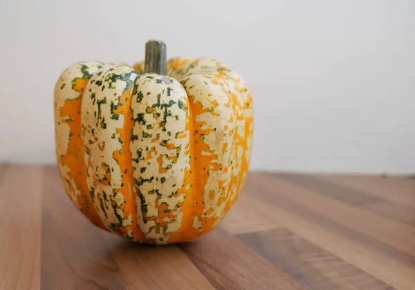 Légume courge magnifiquement coloré en orange et vert sur la table — Photo