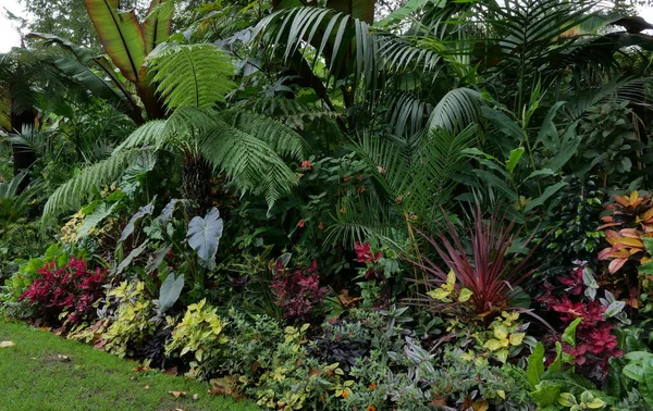 Renkli kırmızı ve yeşil yapraklı güzel bir çiçek tarhı.