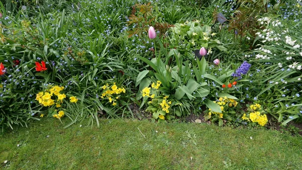 Baharda çimlerin arkasında çeşitli çiçekler ve yapraklar olan bir çiçek tarhı.