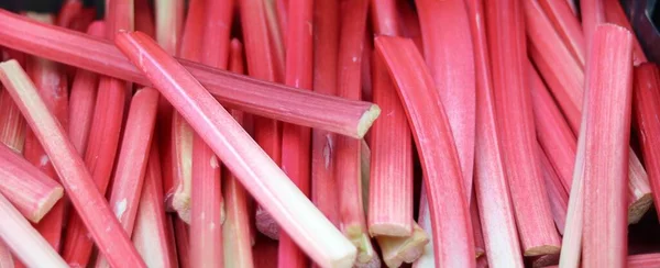 Full frame background of cut pieces of pink red rhubarb — Foto de Stock
