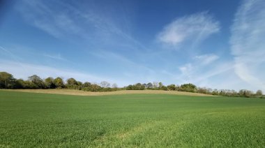 Yeşil alanın üzerinde, kopyalama alanı olan mavi bulutlu arkaplan