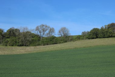Yeşil alanın üzerinde kopyalama alanı olan güzel mavi gökyüzü arkaplanı