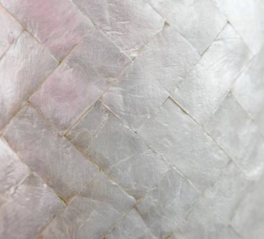 Ringa kemiği dizaynında incinin annesinin tam çerçevesi. Yüksek kalite fotoğraf