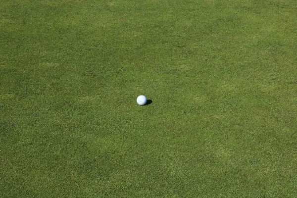 Singel Golfboll Gräs Bakgrund Med Utrymme För Kopia Högkvalitativt Foto — Stockfoto