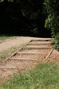 Orman ortamında tahta kenarlı basamakların dikey görüntüsü. Yüksek kalite fotoğraf