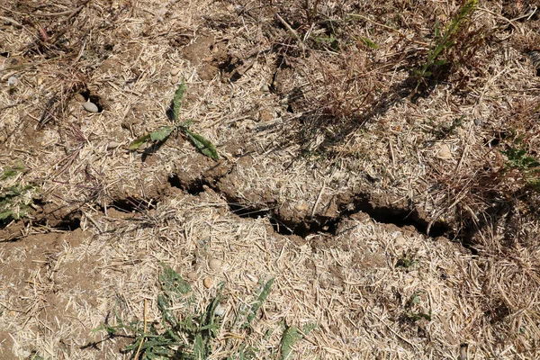 Dried Grey Cracked Earth Background Drought Splits Soil High Quality — Zdjęcie stockowe