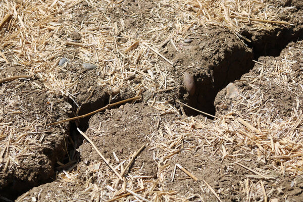 Засохшая серая земля треснула на фоне во время засухи с большим разрывом в почве. Высокое качество фото