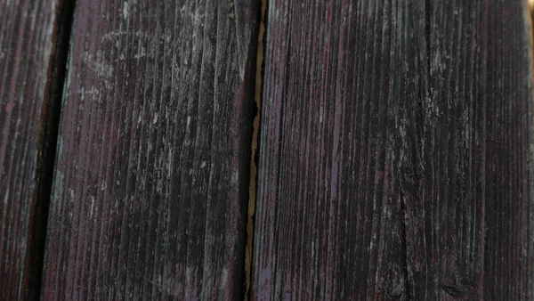 View Old Wood Grained Panelled Fence Green Mould Visible High — Fotografia de Stock