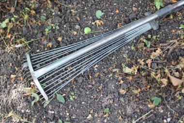 Silver metal garden rake with fine tines lying on the ground . High quality photo