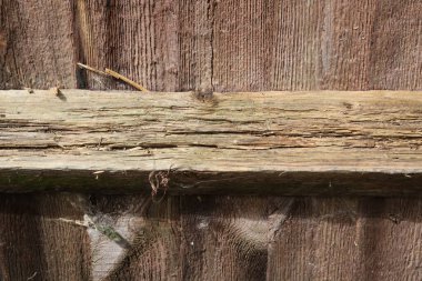 Dilapidated old wooden fence showing brown weathered wood grain detail. High quality photo