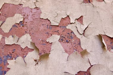 Arka plan pembe ve koyu kırmızı terakotta rengini gösteriyor. Yüksek kalite fotoğraf