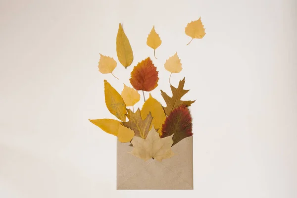 Deitado Outono Envelope Artesanato Com Outono Folhas Caídas Fundo Leve — Fotografia de Stock
