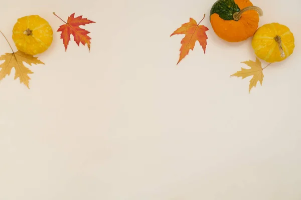 Kreatywny Widok Góry Płaski Leżał Kompozycja Jesieni Ramka Suszonych Liści — Zdjęcie stockowe