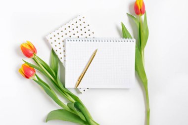 Beyaz masa zemininde kırmızı laleler ve kalem bulunan spiral not defterini aç. Metin için fotokopi alanı olan blog 'un tanıtımı ya da görselleştirilmesi için şablon. İş tatili sevgililer günü kartı. Bahar ve doğum günü. Üst görünüm.