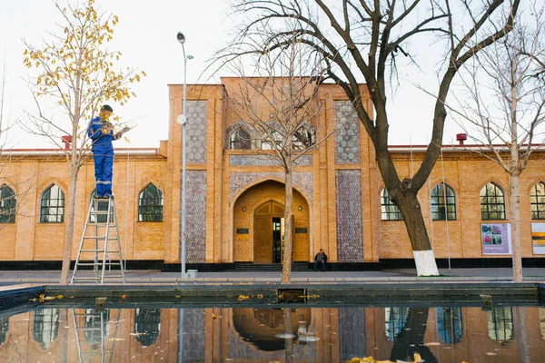 Taschkent Usbekistan November 2021 Hausmeister Zupft Blätter Einem Baum Hintergrund — Stockfoto