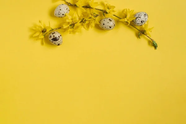 Diseño Creativo Pascua Huevos Codorniz Ramas Forsitia Sobre Fondo Amarillo — Foto de Stock