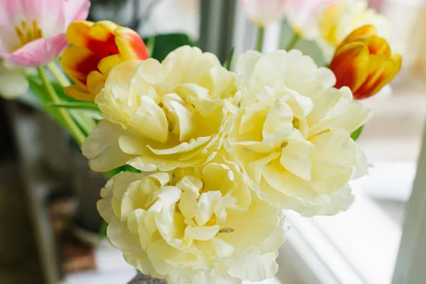 Gelbe Frottee Tulpen Aus Nächster Nähe — Stockfoto