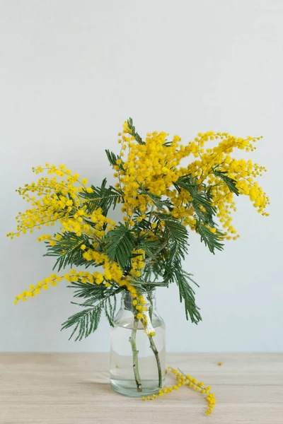 Ramo Mimosa Jarrón Sobre Fondo Pared Azul Flores Amarillas Primavera — Foto de Stock
