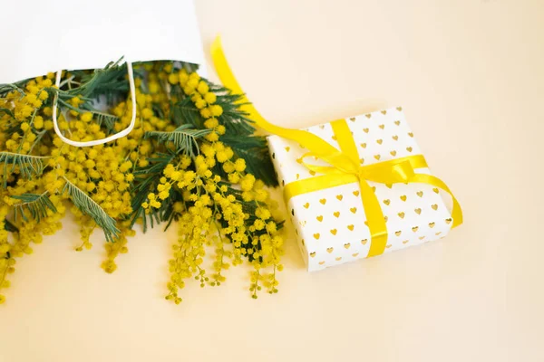 Piękne Kwiaty Opakowaniem Obecnej Kompozycji Gałęzie Kwiaty Mimosa Białym Tle — Zdjęcie stockowe