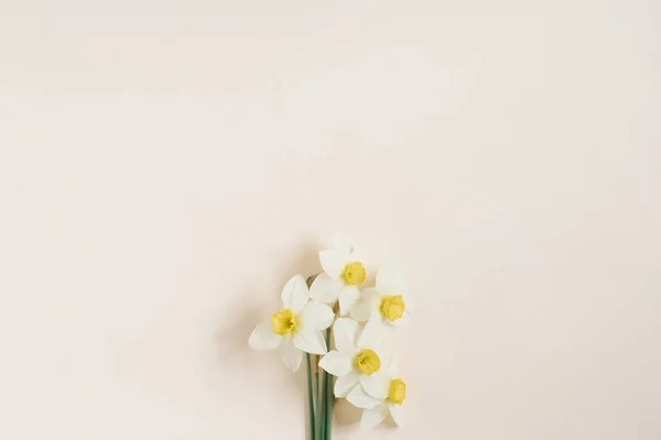 ベージュの背景に美しい新鮮な水仙トップビュー コピースペースとフラットレイアウトの白と黄色の花と珍しい春のイメージ フラワーグリーティングカード ストックフォト