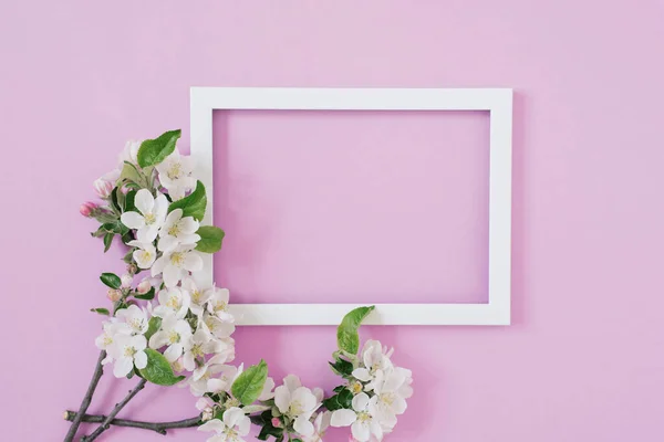 コピースペース 無料テキストのためのスペースとピンクの背景に花と空の白い写真フレームを持つバナー フレーミング ワークショップ 明るい休日の証明書 春の思い出 ロイヤリティフリーのストック写真