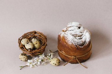 Turta, geleneksel bir Ortodoks Paskalya pastası kuş yuvasında bıldırcın yumurtası ve bej arka planda çiçekler. Bayramlık Paskalya Kartı
