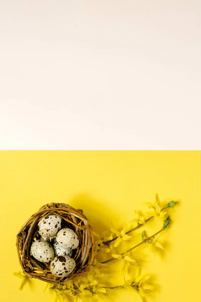 Flower Arrangement Flowering Branch Eggs Nest Yellow Pastel Background Spring — Stock Photo, Image