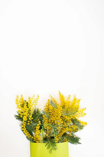 Wiosna Żółty Kwiat Mimoza Białym Tle Naturalne Tło Sprężyny Przestrzenią — Zdjęcie stockowe