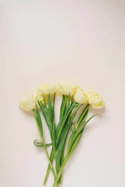 Tulipanes Amarillos Sobre Fondo Blanco Copiar Espacio — Foto de Stock