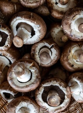 Cremini mantarlarının üstten aşağı makro görünümü başlıkların altını gösteriyor.