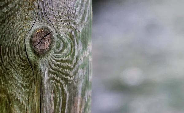 Close Wooden Fence Post Knot Soft Focus Background Right — Stock Photo, Image