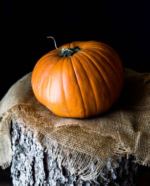 Büyük bir çuval bezi üzerinde küçük bir balkabağı yakın plan, kabuk kaplı, odunsu kütük. 