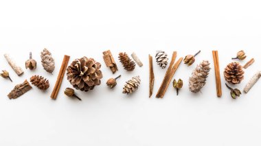 Çam kozalakları ve tarçın çubukları da dahil olmak üzere çeşitli ahşap tomurcuklar ve çiçekler.. 