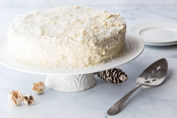 Een Witte Met Kokosnoot Bedekte Taart Omgeven Door Rustieke Decoraties — Stockfoto