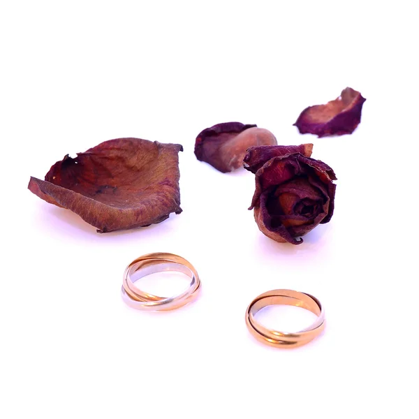 Ringar och rosor — Stockfoto
