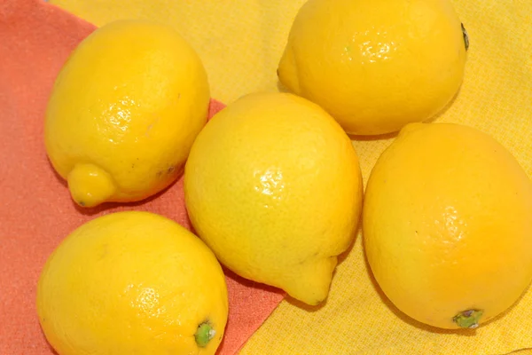 レモンの果実 — ストック写真